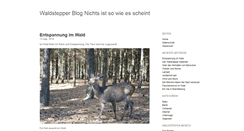 Desktop Screenshot of blog.waldstepper.de